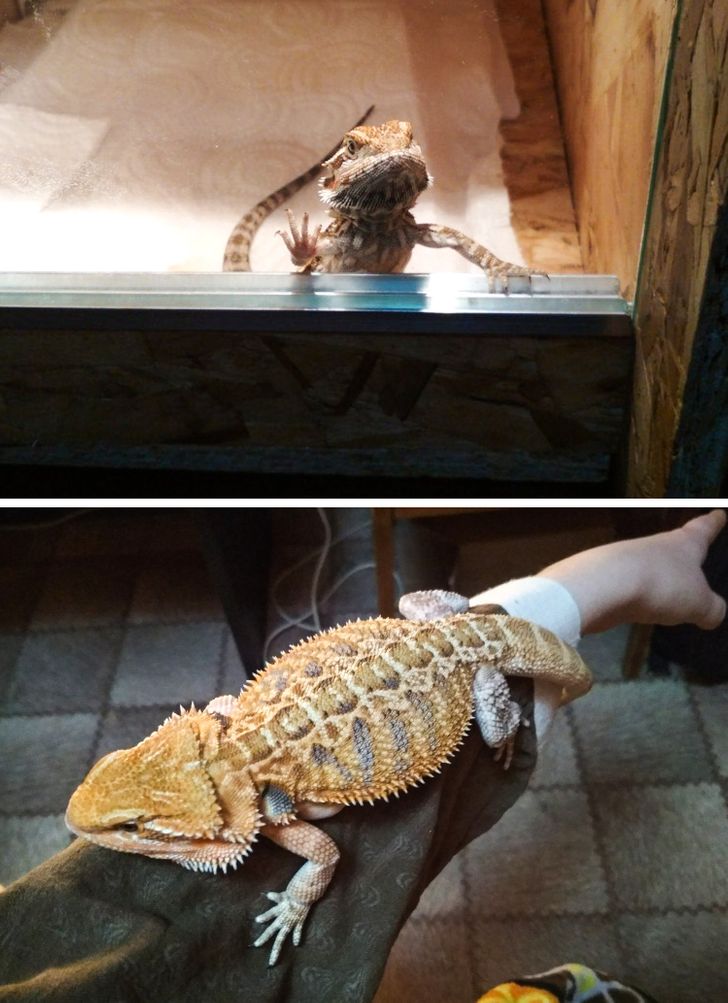 e8940b54b7998c2ecedf80f052