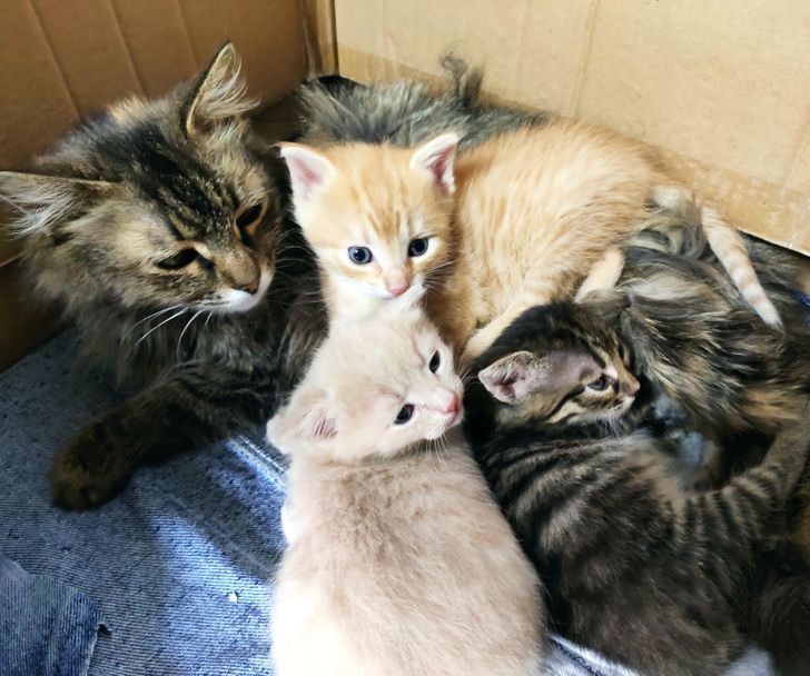 e895e158e0a9d20a99c5135966