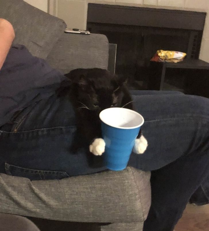 e8963e5bdda353f5c3a45b525e e8963e5bdda353f5c3a45b525e