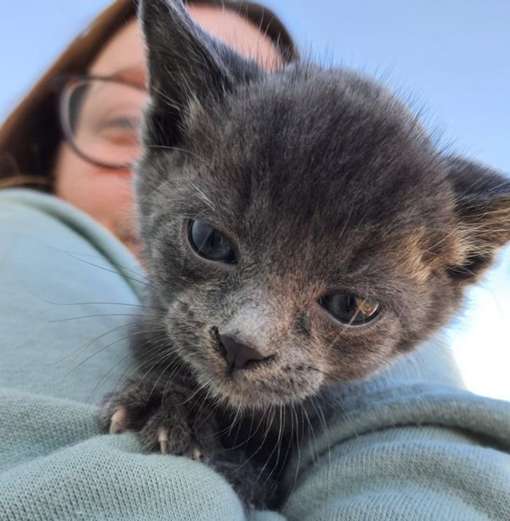 e8984d5206971aeef3aa59431f