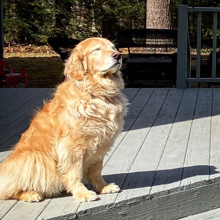 e8986e554db419571a6f84673f