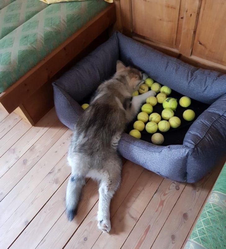 e89ad3555b927ec3196c85cefe