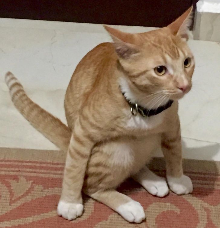 e8ac2956a1969337c3e52f934d