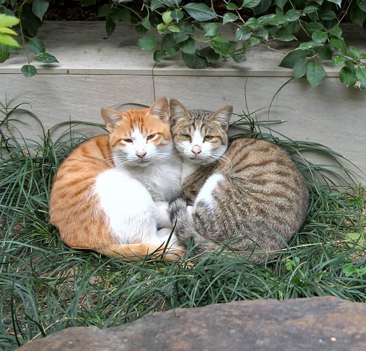 e8aca5536d9f8b395fe10b457e