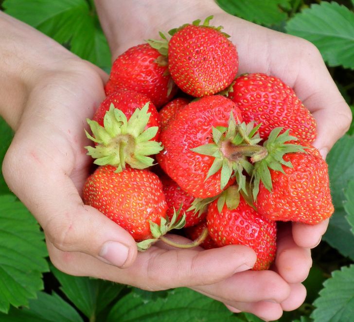 e8bd8e57df9bd9b9c2e1e06081