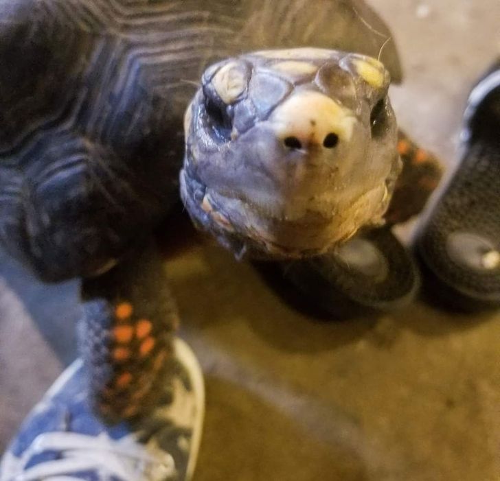 e8bf2157d49db87fbbea05aada