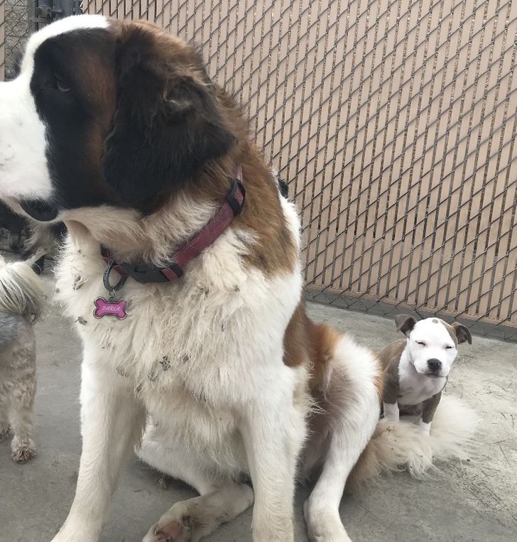 e8cafa5bbf9eaba2fb146c17d6