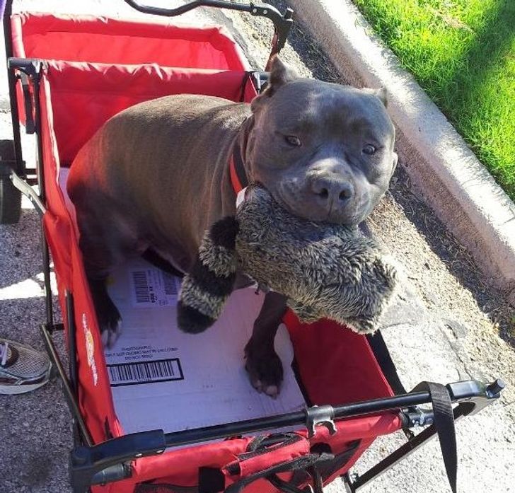 e8d150595e900bcc15ec21a1f5