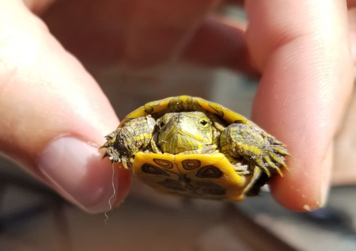 e8d6655ad2ad4cb8173bb7d893