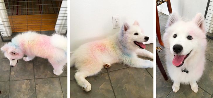 e8f0df5fcd833872257373a55e