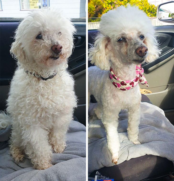 e8f4a85dc3a28ec2b1f8333673