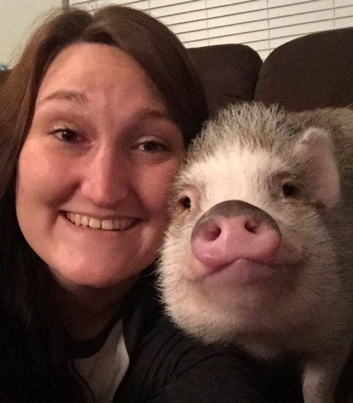 e8f81c55f780e8f477349bb613