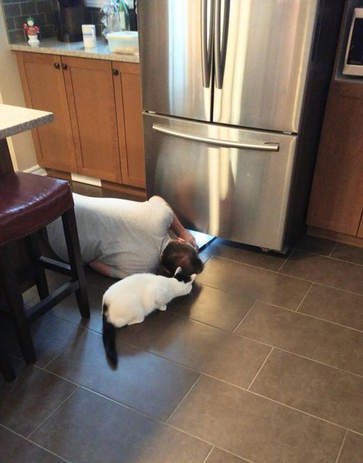 e90e6a57808ae638b70c5726e3