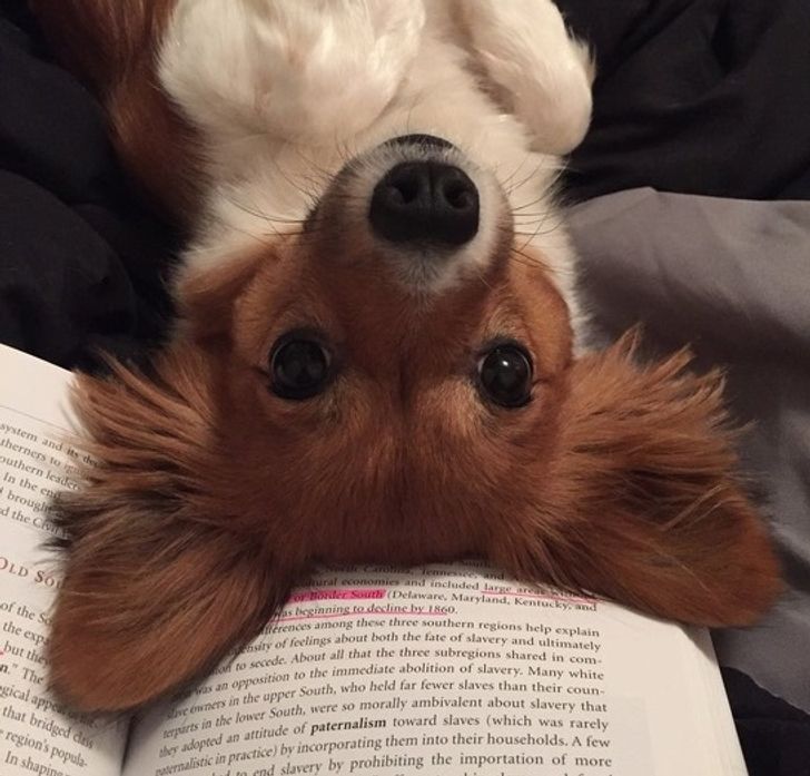 e9133b5745871224a77282e73f