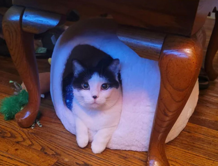 e919c856a98199a8cc3fd99385-1 e919c856a98199a8cc3fd99385-1