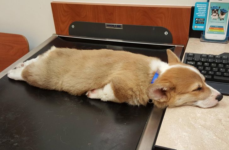 e91a0e5a12b5a7fb9f3cd32b71