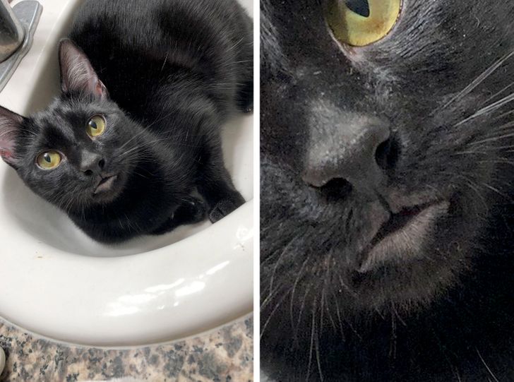 e91c5a5c4cba9731cec714bbbd