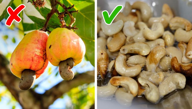 e927f65c10aec9dab8508740fa