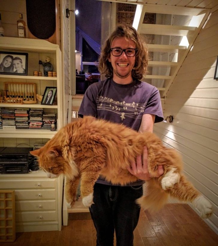 e92dd85423b03919716c21e0fc