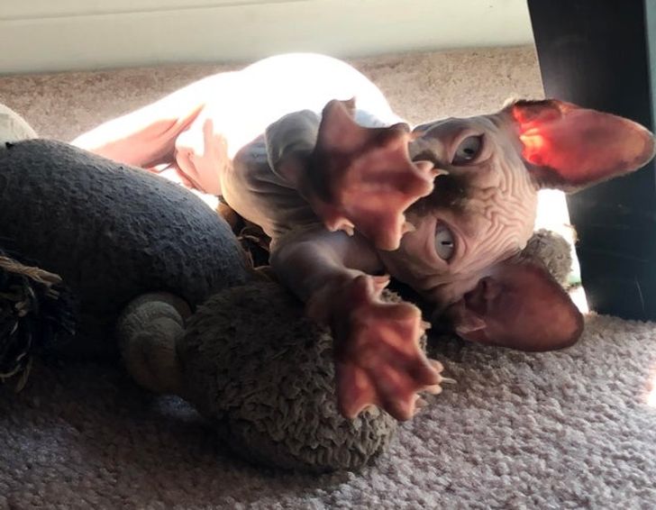 e935b953928bc624549e3b2682