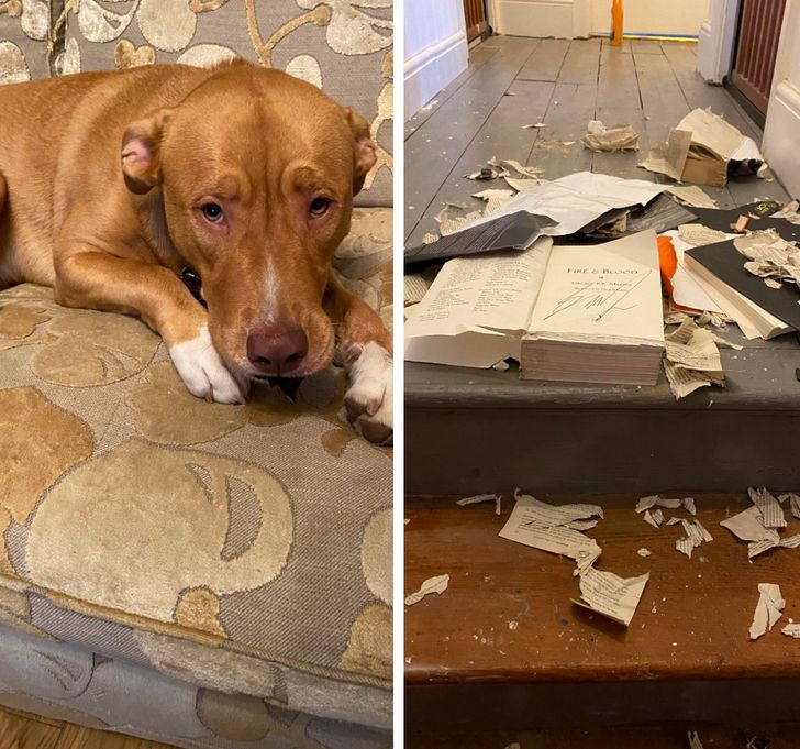 e939b857f492b3235b68e86e96