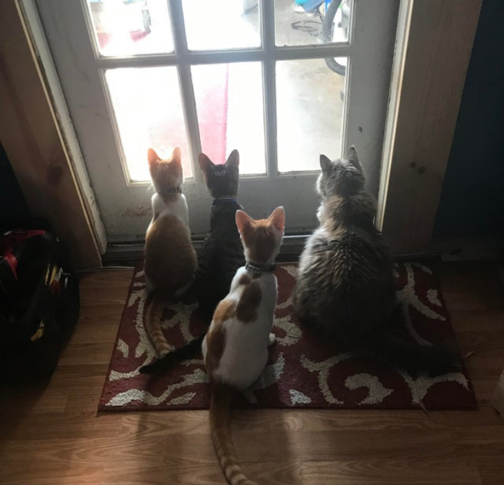 e93ea35f7798f611c65dc0d8a6 e93ea35f7798f611c65dc0d8a6