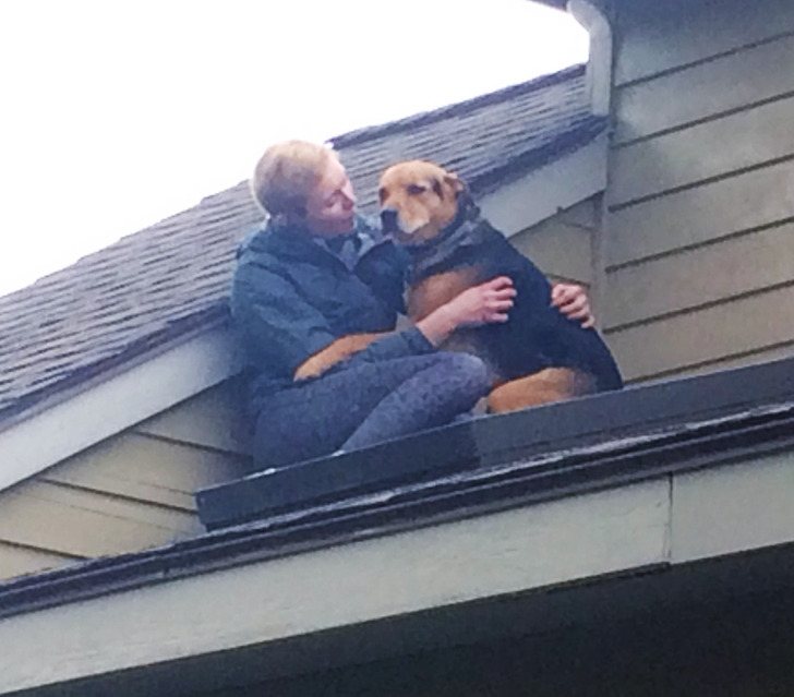 e9445553d4834fb4dc7eabfe1b