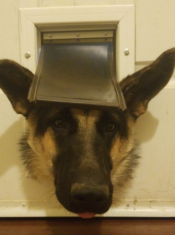 e94df554839f0e42cacedd672a