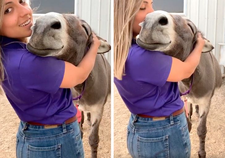 e95297546f81090b5d43048e46