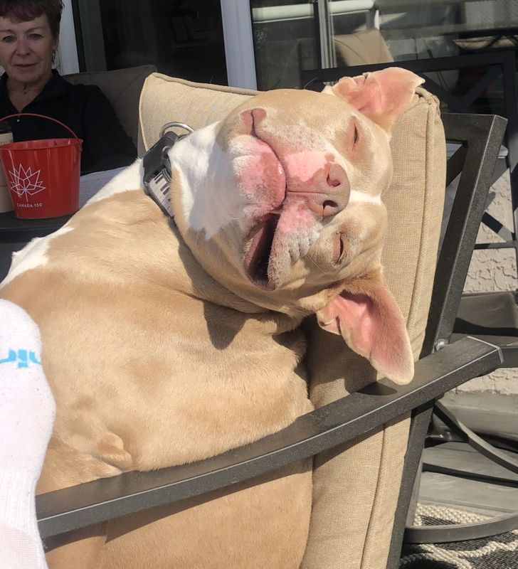 e954235662862f7b89dbb8ccda