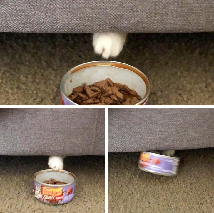 e955ab50f49dbba73c842752eb