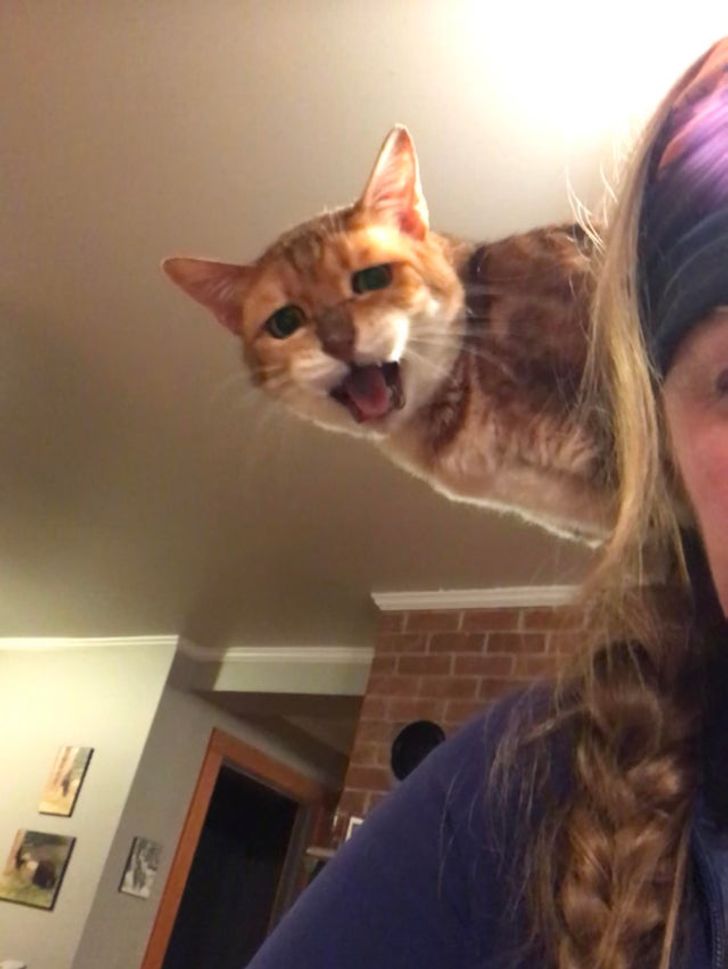 e9563254389d5dd6b3a35b9f65