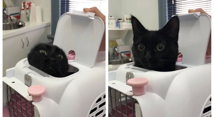 e95eab5f8caf0da367f892afca