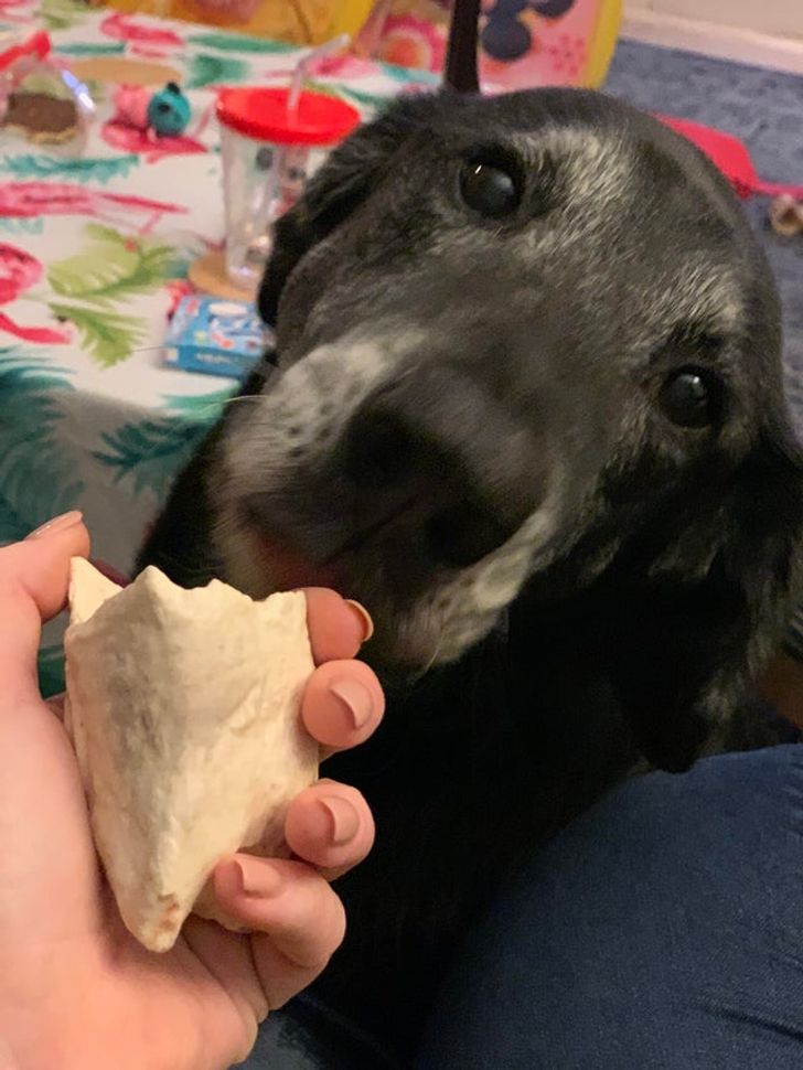 e96664509a88d246c709fc7bd5