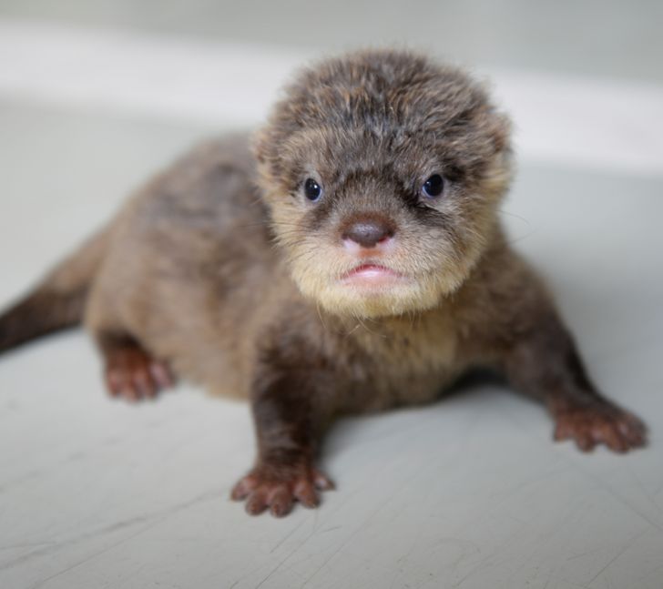 e96d145600b1cf3b21065dd5b4