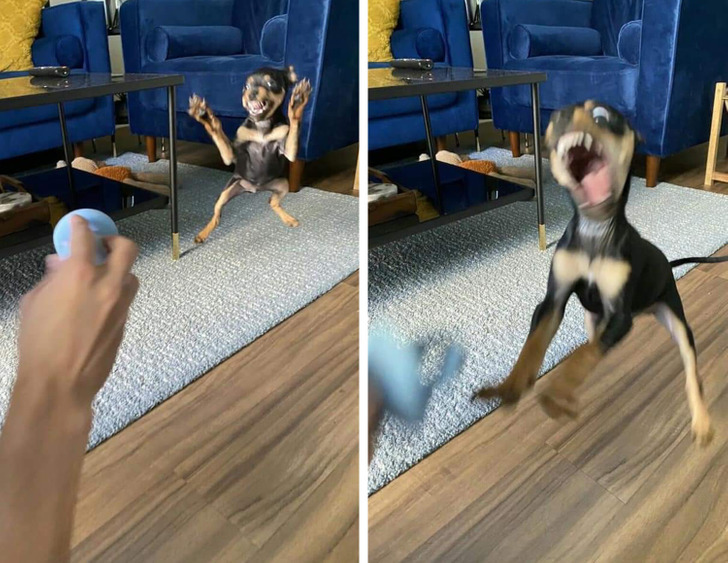 e96e165cffaf44c146ae2e25e0 e96e165cffaf44c146ae2e25e0