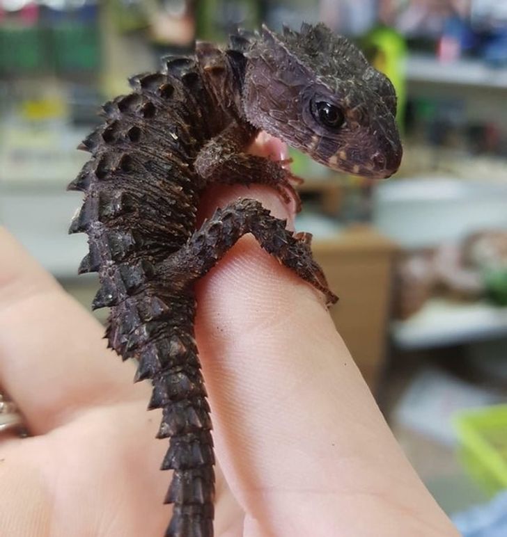 e974055a7f82e5f79174084765