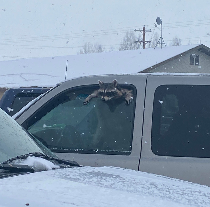 e9786451f5abdcbc6eaeff48c2