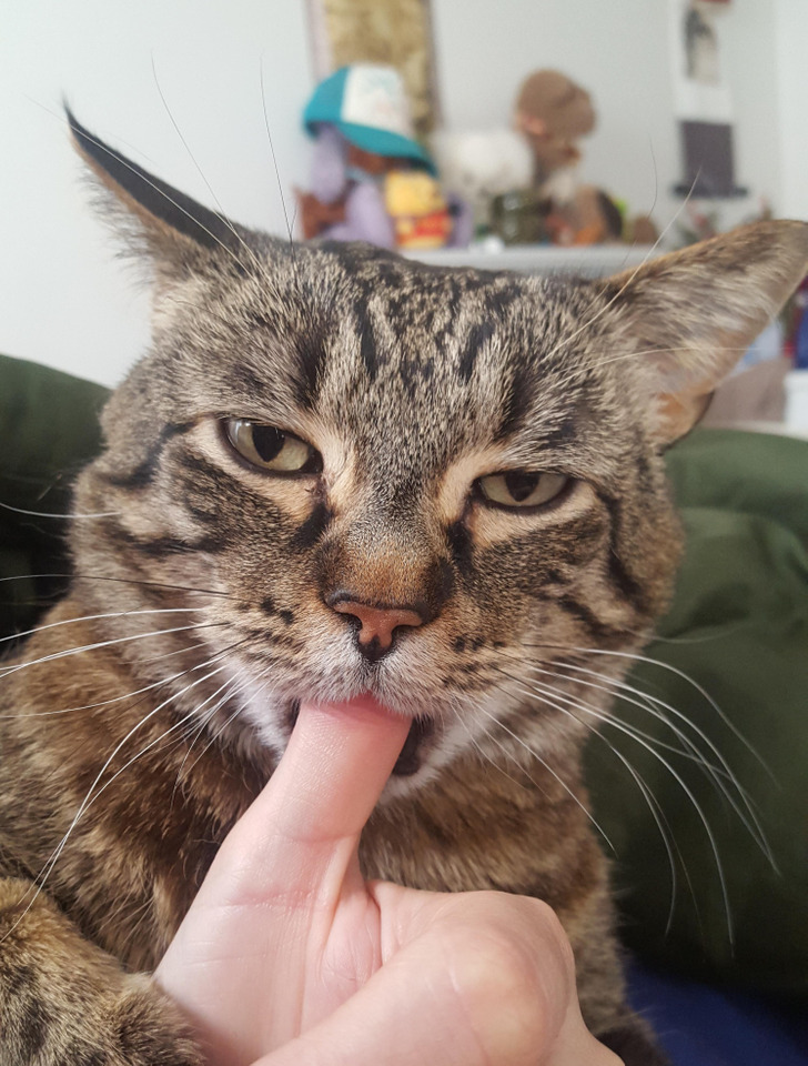 e97a3b554d80cae4b82050d327