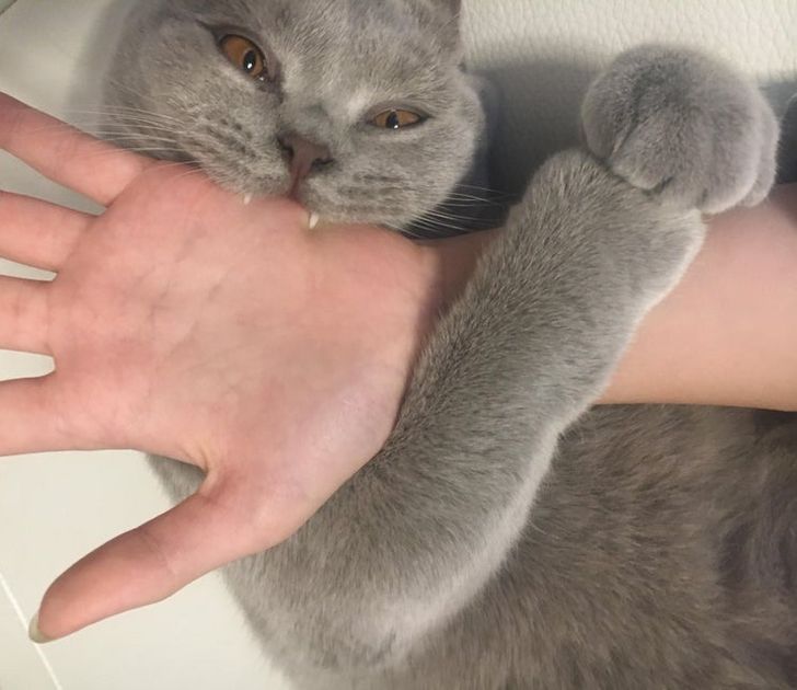 e97bcf51c1b9fbf3ee0aab9c05