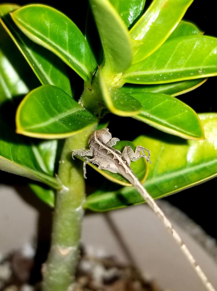 e97f275fa1ab4e5667328848f0