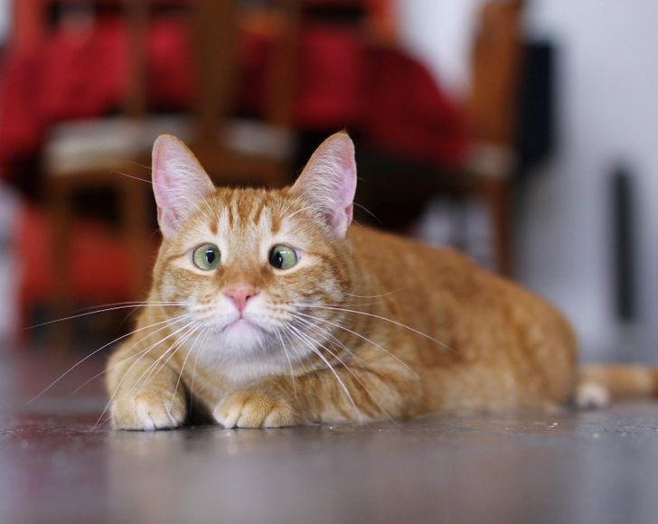 e97f6f537db94f3e729858d06a