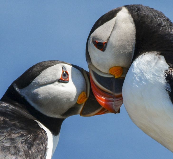 e9811f580ca7e714d9337dfe53