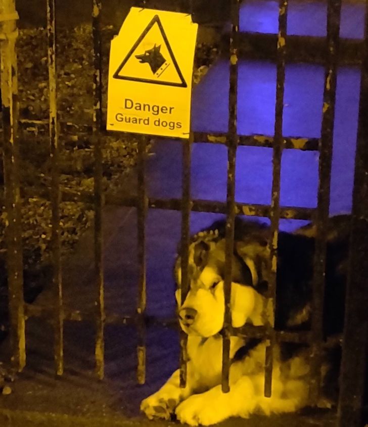 e983875f19a11dc5cf9cd0fe53