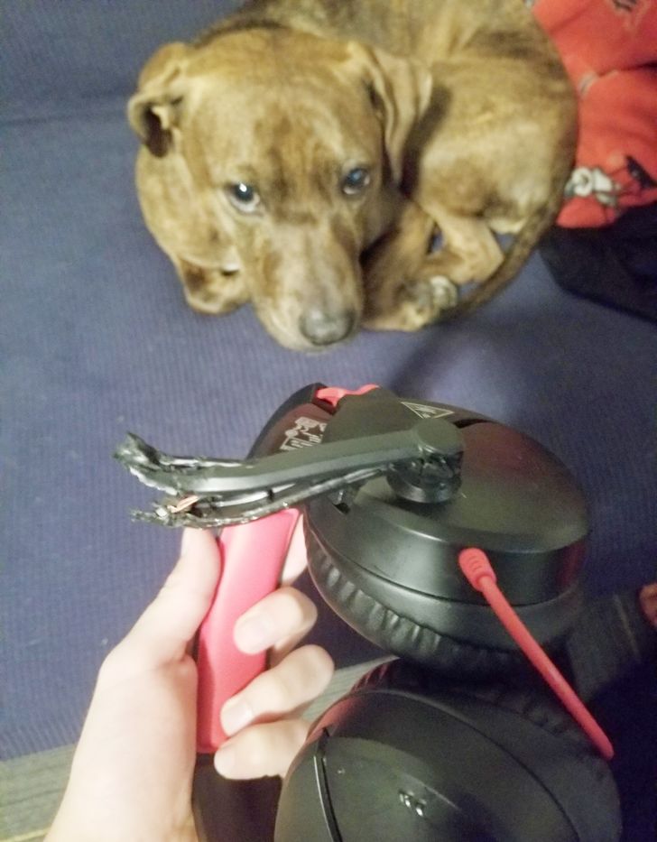 e9861b52ccb7cc90741c8eee26