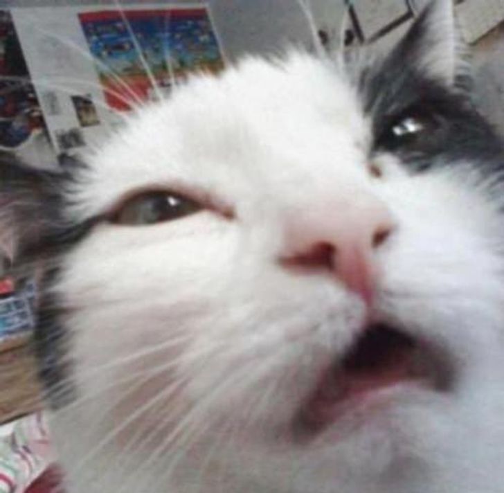 e98b105c48982f71c5e1fbe50a