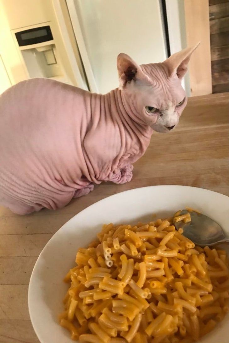 e98e7153c894bbb9c91c1a7fe1