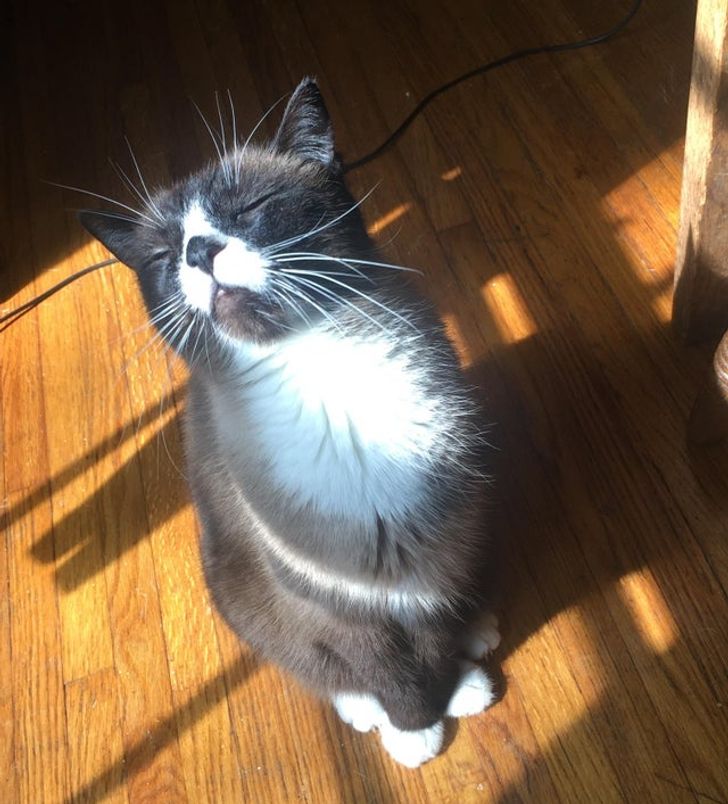 e99120568687cd9d31b6767292