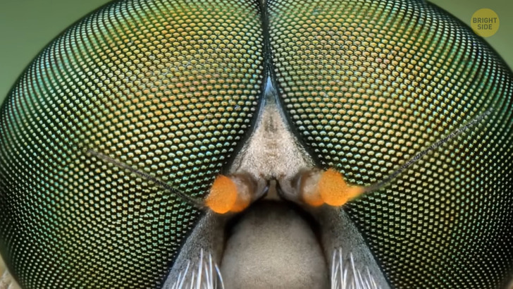 e999c2511d90f82cd0b45bac54 e999c2511d90f82cd0b45bac54