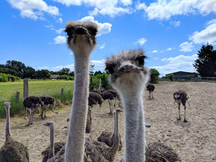 e99acb591a8f5bca5144a1ceab